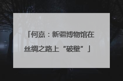 何嘉：新疆博物馆在丝绸之路上“破壁”