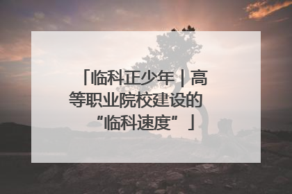 临科正少年｜高等职业院校建设的“临科速度”