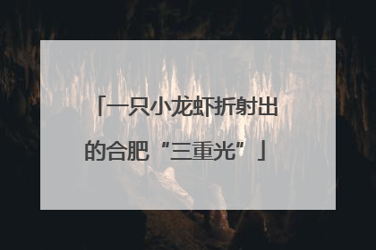 一只小龙虾折射出的合肥“三重光”