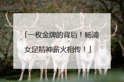 一枚金牌的背后！杨浦女足精神薪火相传！