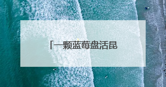 一颗蓝莓盘活昆明东川尾矿困局