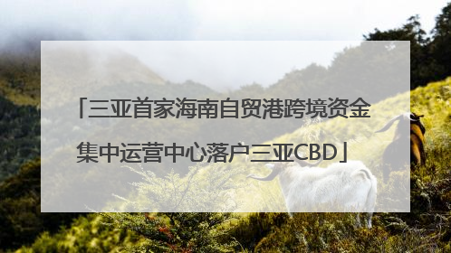 三亚首家海南自贸港跨境资金集中运营中心落户三亚CBD