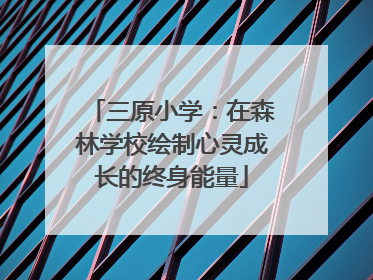 三原小学：在森林学校绘制心灵成长的终身能量