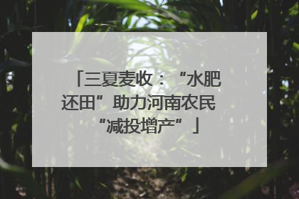 三夏麦收：“水肥还田”助力河南农民“减投增产”