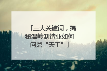 三大关键词，揭秘温岭制造业如何问鼎“天工”