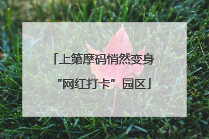 上第摩码悄然变身“网红打卡”园区