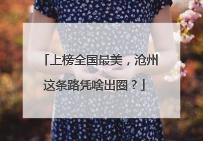 上榜全国最美，沧州这条路凭啥出圈？