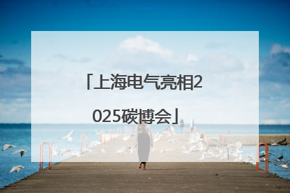 上海电气亮相2025碳博会