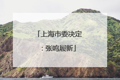 上海市委决定：张鸣履新