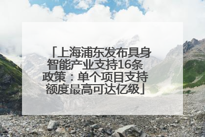 上海浦东发布具身智能产业支持16条政策：单个项目支持额度最高可达亿级