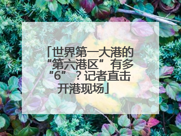 世界第一大港的“第六港区”有多“6”？记者直击开港现场