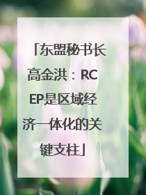 东盟秘书长高金洪：RCEP是区域经济一体化的关键支柱