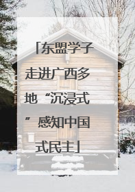 东盟学子走进广西多地“沉浸式”感知中国式民主