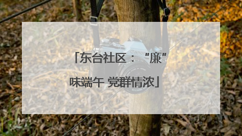 东台社区：“廉”味端午 党群情浓