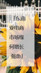 东南亚电商市场缘何增长强劲