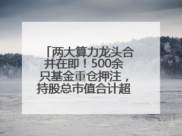 两大算力龙头合并在即！500余只基金重仓押注，持股总市值合计超380亿元
