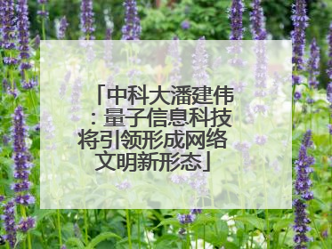 中科大潘建伟：量子信息科技将引领形成网络文明新形态