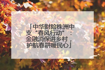 中华财险株洲中支“春风行动”：金融消保进乡村，护航春耕暖民心