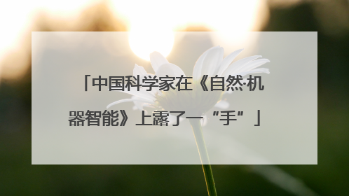 中国科学家在《自然·机器智能》上露了一“手”