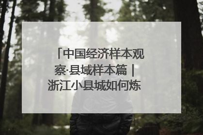 中国经济样本观察·县域样本篇｜浙江小县城如何炼成“国际范”？