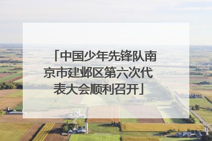 中国少年先锋队南京市建邺区第六次代表大会顺利召开