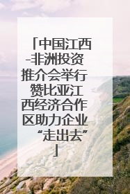 中国江西-非洲投资推介会举行 赞比亚江西经济合作区助力企业“走出去”