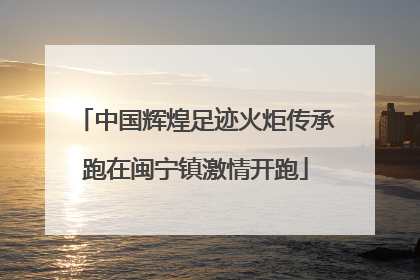中国辉煌足迹火炬传承跑在闽宁镇激情开跑