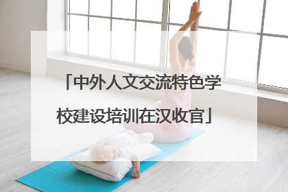 中外人文交流特色学校建设培训在汉收官