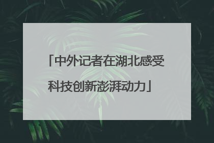 中外记者在湖北感受科技创新澎湃动力