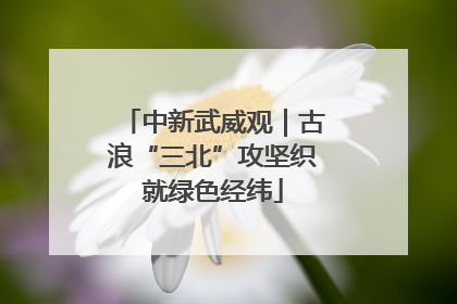 中新武威观｜古浪“三北”攻坚织就绿色经纬