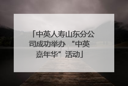 中英人寿山东分公司成功举办 “中英嘉年华”活动