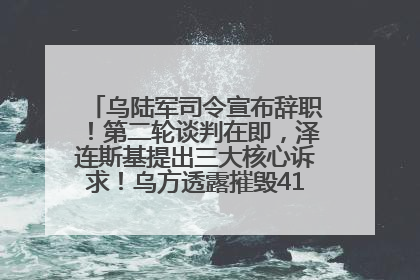 乌陆军司令宣布辞职！第二轮谈判在即，泽连斯基提出三大核心诉求！乌方透露摧毁41架俄战略轰炸机