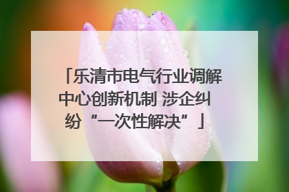 乐清市电气行业调解中心创新机制 涉企纠纷“一次性解决”