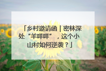 乡村邀请函｜密林深处“羊咩咩”，这个小山村如何逆袭？