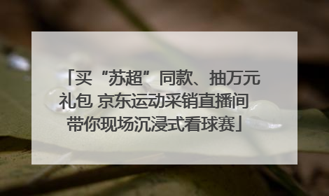 买“苏超”同款、抽万元礼包 京东运动采销直播间带你现场沉浸式看球赛