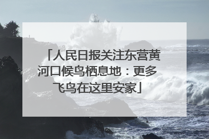 人民日报关注东营黄河口候鸟栖息地：更多飞鸟在这里安家