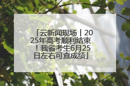 云新闻现场丨2025年高考顺利结束！我省考生6月25日左右可查成绩