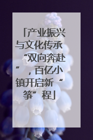 产业振兴与文化传承“双向奔赴”，百亿小镇开启新“筝”程