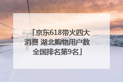 京东618带火四大消费 湖北购物用户数全国排名第9名