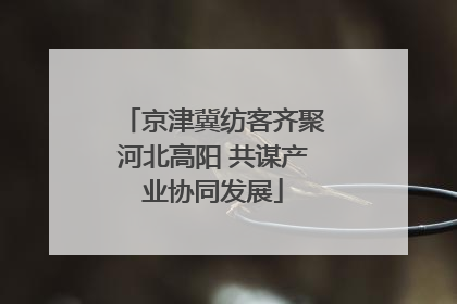京津冀纺客齐聚河北高阳 共谋产业协同发展