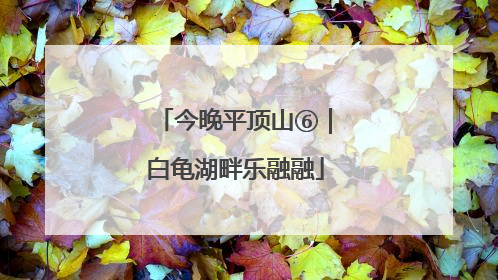 今晚平顶山⑥｜白龟湖畔乐融融