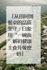 从田间到餐桌的品质坚守：白象用“一碗面”解码健康主食升级密码