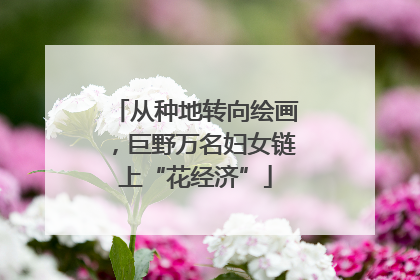从种地转向绘画，巨野万名妇女链上“花经济”