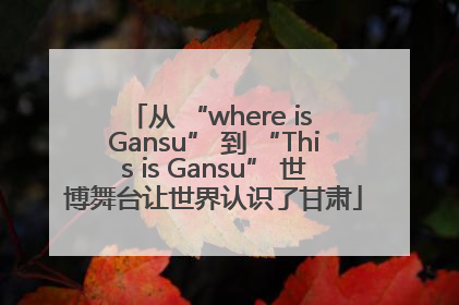 从 “where is Gansu” 到 “This is Gansu” 世博舞台让世界认识了甘肃