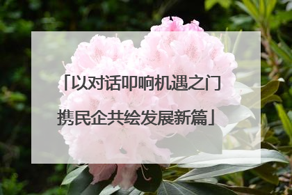 以对话叩响机遇之门 携民企共绘发展新篇