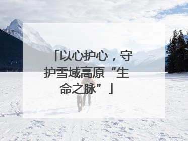以心护心，守护雪域高原“生命之脉”