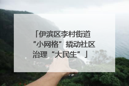 伊滨区李村街道 “小网格”撬动社区治理“大民生”