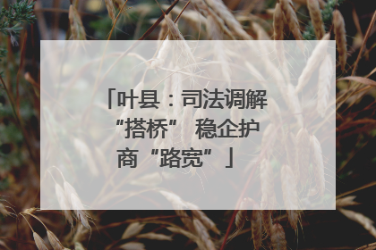 叶县：司法调解“搭桥” 稳企护商“路宽”