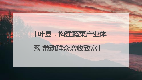 叶县：构建蔬菜产业体系 带动群众增收致富