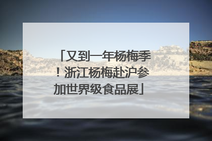 又到一年杨梅季！浙江杨梅赴沪参加世界级食品展